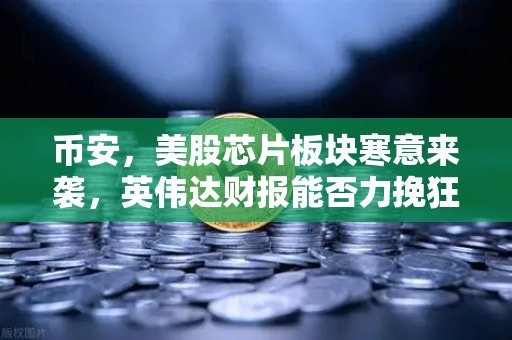 币安，美股芯片板块寒意来袭，英伟达财报能否力挽狂澜？