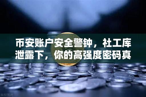 币安账户安全警钟，社工库泄露下，你的高强度密码真的够强吗？